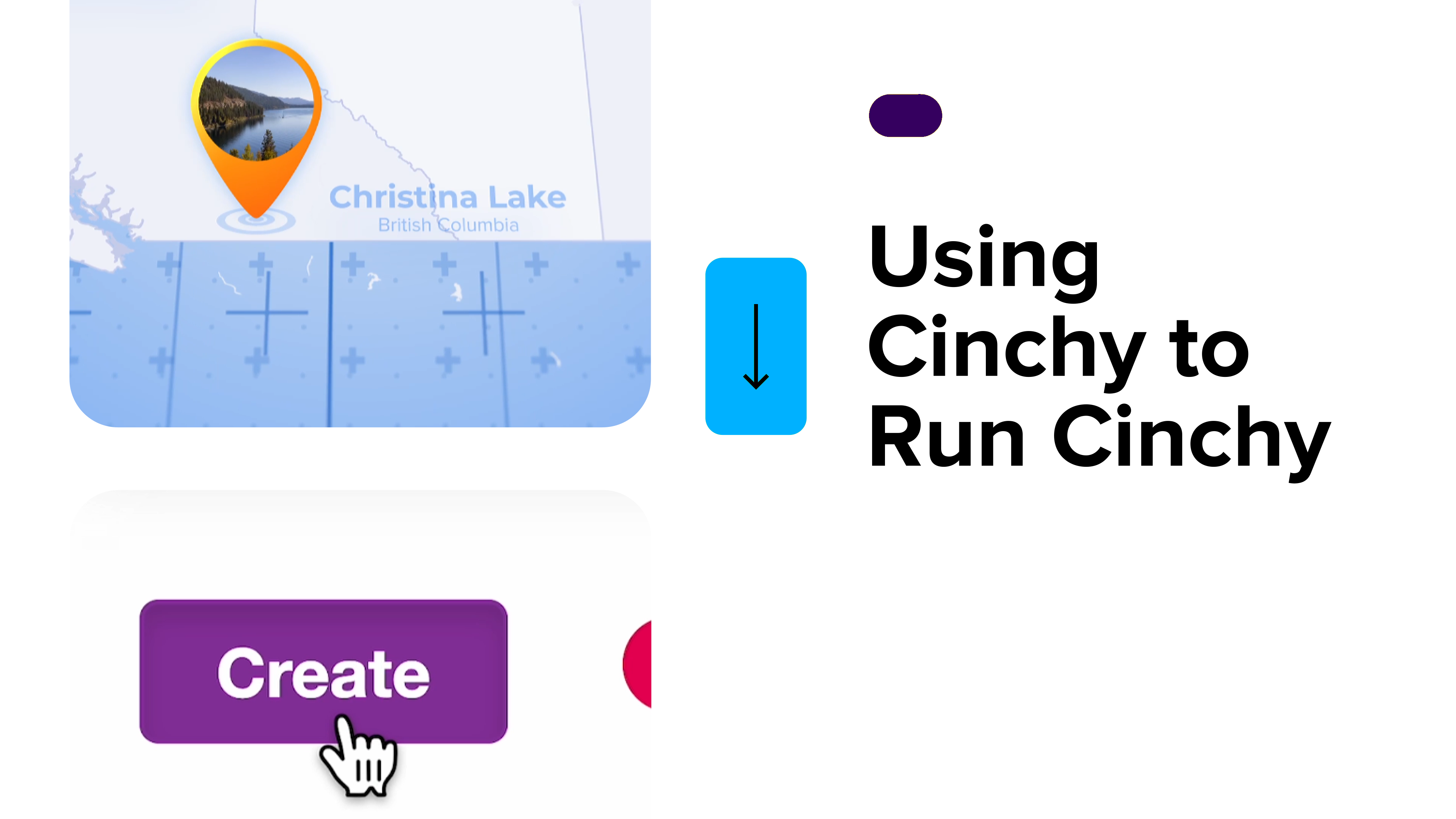 Using Cinchy to Run Cinchy: Managing A Company-Wide Fitness Initiative
